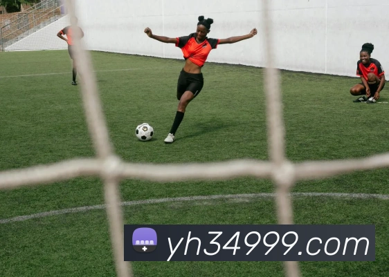 AI Risk Control